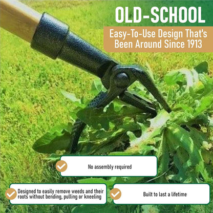 Grampa's Weeder - The Original Stand Up Weed Puller Tool with Long Handle - Made with Real Bamboo & 4-Claw Steel Head Design - Easily Remove Weeds