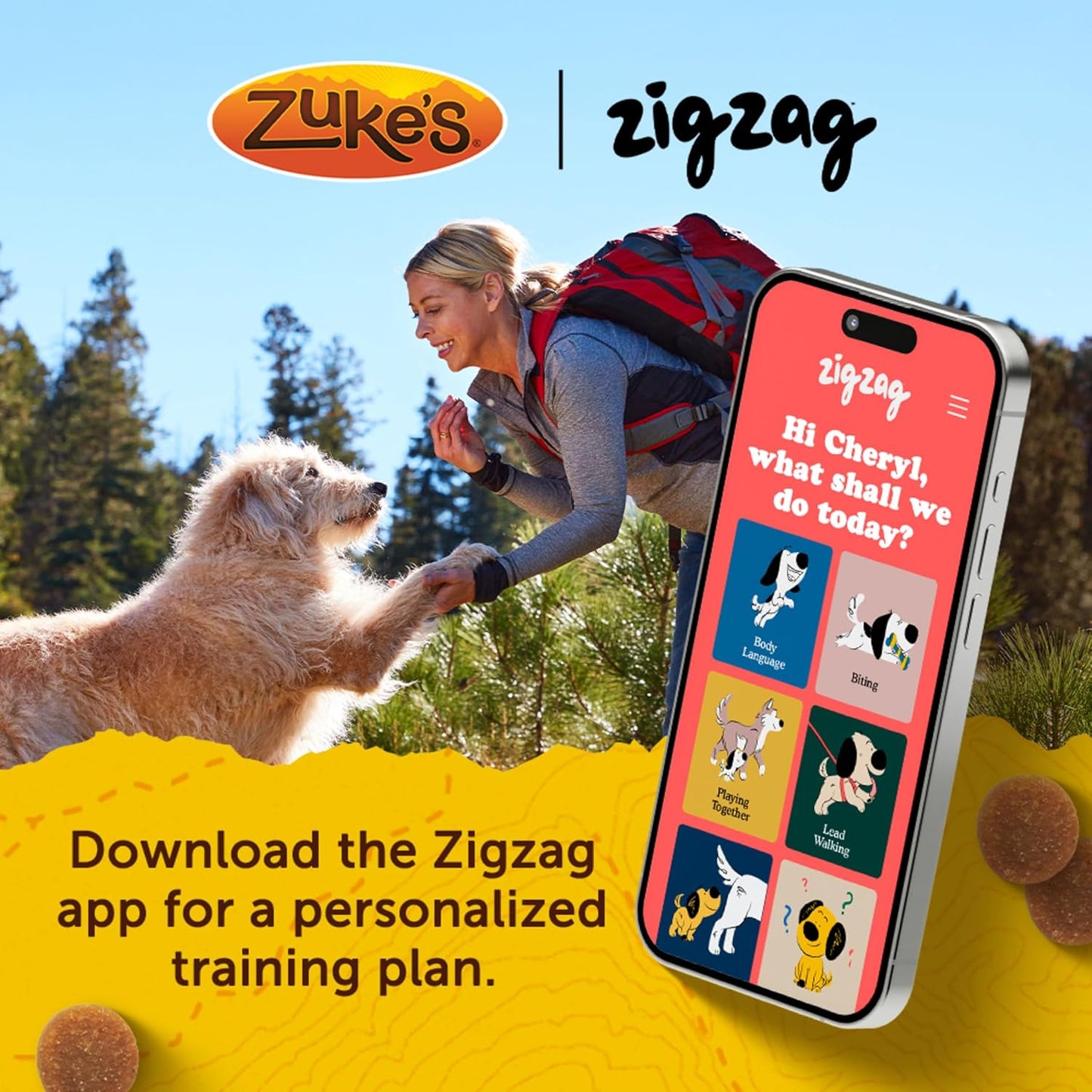 Zukes Mini Naturals Dog Training Treats for Dogs, Pet Treats Made with Real Chicken, 16 oz