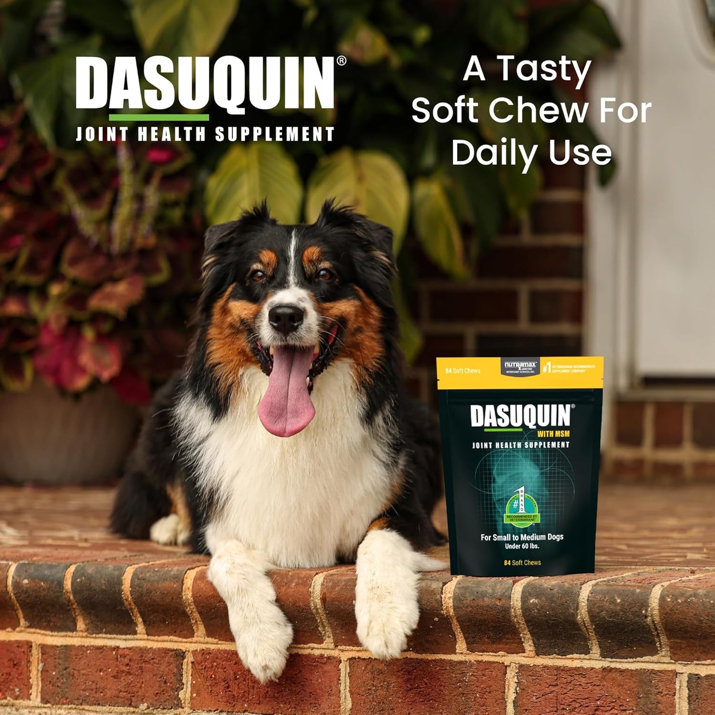 Nutramax Dasuquin for Small to Medium Dogs, Joint Health Supplement, Contains Glucosamine for Dogs, Plus Chondroitin, ASU, MSM and