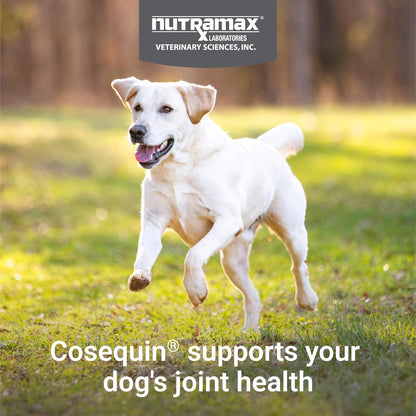 Nutramax Cosequin for Dogs Joint Health Supplement, Contains Glucosamine for Dogs, Plus Chondroitin and MSM, Supports Healthy