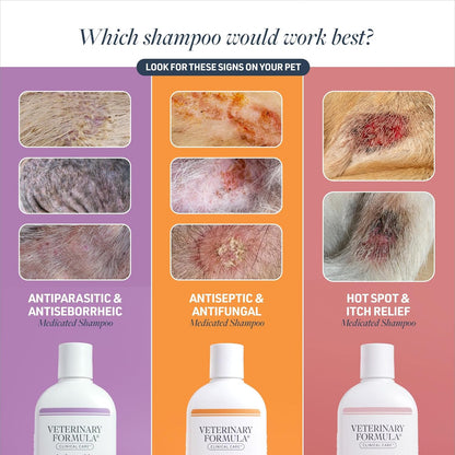 Veterinary Formula Clinical Care Antiseptic and Antifungal Medicated Shampoo for Dogs & Cats, 16 Fl Oz Helps Alleviate Scaly