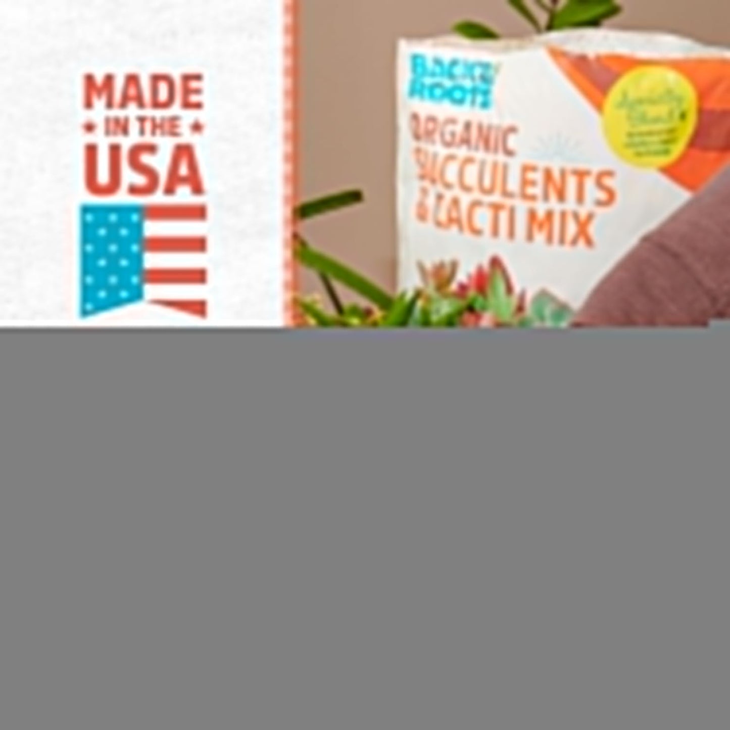 Back to the Roots 100% Organic Succulent & Cacti Mix (6 Quart), Made in the USA, Premium Nutrition for Indoor and Outdoor Plants