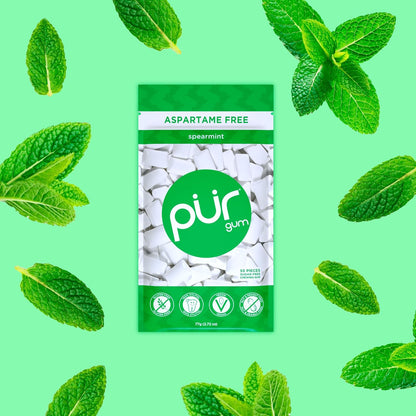 PUR Gum, Aspartame Free Chewing Gum, 100% Xylitol, Natural Spearmint Flavored Gum, 55 Pieces
