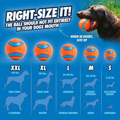 Chuckit! Ultra Ball Dog Toy - Medium Bouncy Fetch Balls For Dogs 20-60 lbs - Made from Durable Rubber - Floating Water Pet Toys - Size Medium -