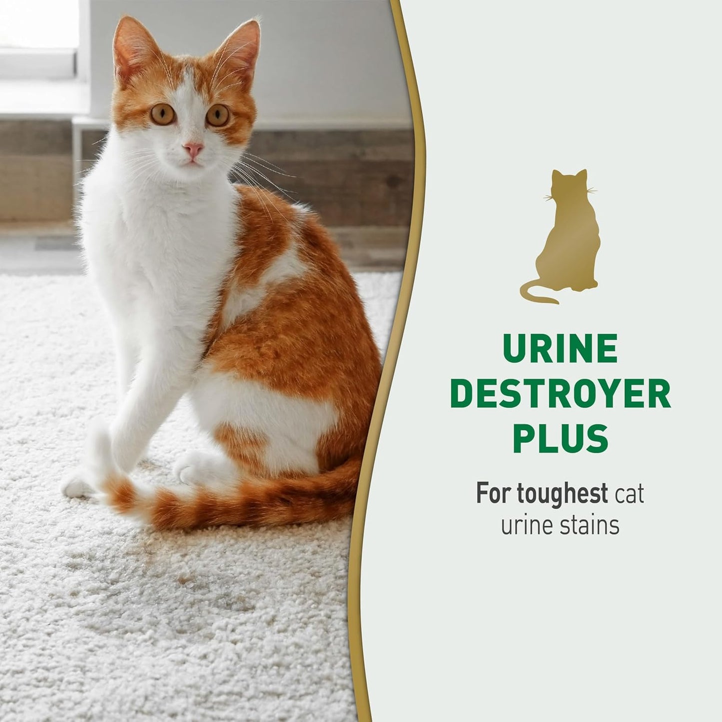 Natures Miracle Urine Destroyer Plus Cat, 32 Ounces,Unscented, Enzymatic Formula, Ready-to-Use