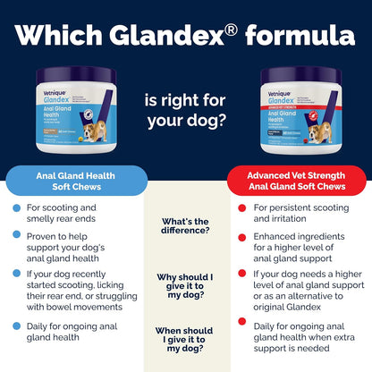 Vetnique Glandex Anal Gland Soft Chew Treats with Pumpkin for Dogs Digestive