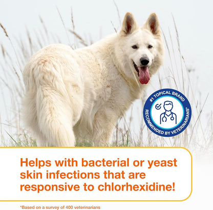 Douxo S3 Pyo Pads, Contains 3% Chlorhexidine & 0.5% Ophytrium, Antiseptic & Hydrating, For Bacterial or Yeast Skin Infections, For Dogs and
