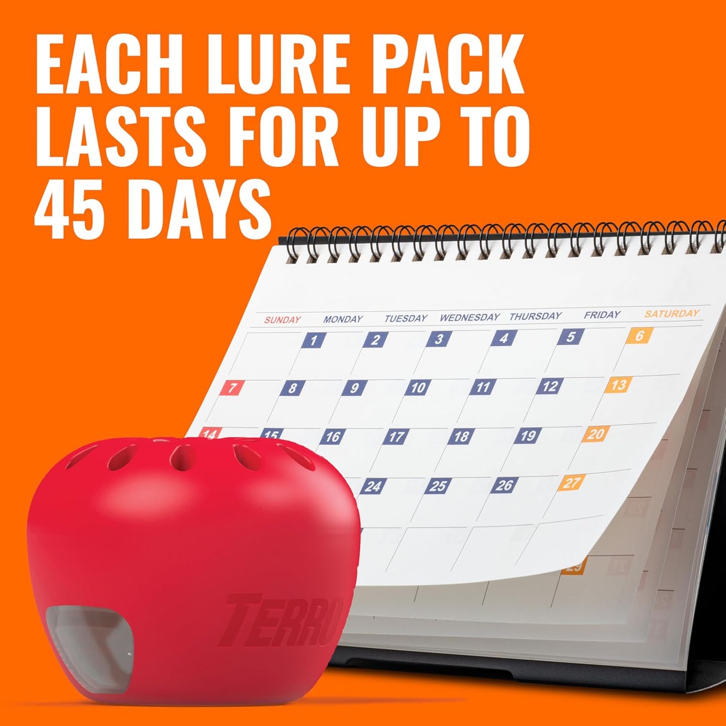 TERRO Fruit Fly Traps for Indoors (4 Pack) + 180 Days of Lure Supply - T2503SR - Lure and Kill Indoor Fruit Flies Near Fruit, Trash