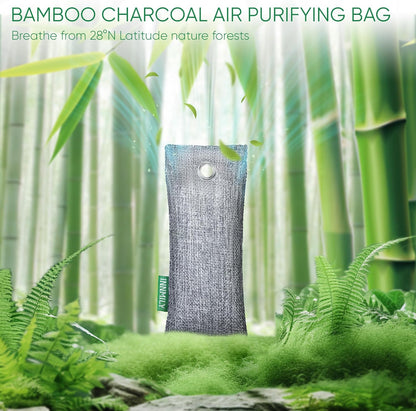 Activated Charcoal Odor Absorber, 6 Pack Natural Shoe Odor Eliminator, Bamboo Charcoal Air Purifying