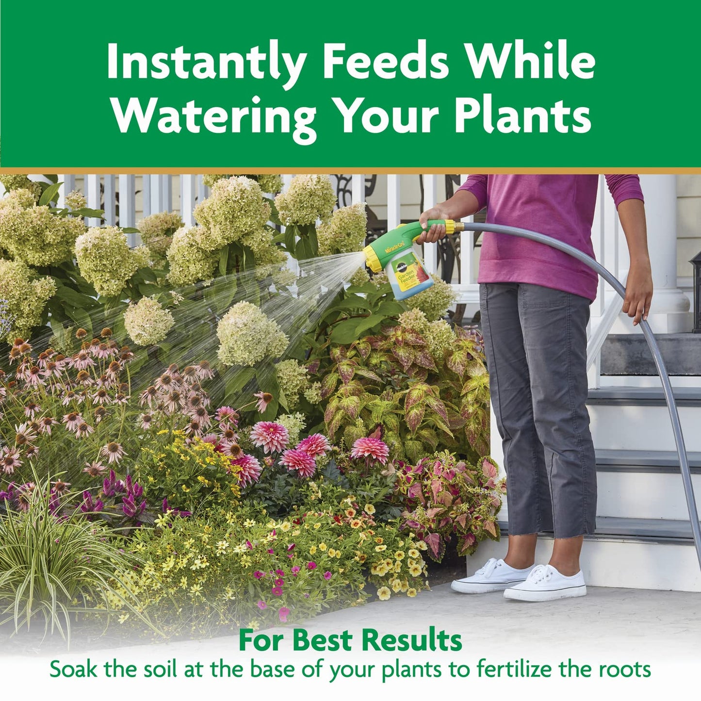 Miracle-Gro Water Soluble All Purpose Plant Food - Fertilizer For All Indoor or Outdoor Plants including Roses, Flowers, Vegetables