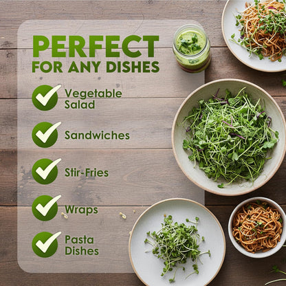 Nature Jims Sprouts Organic Salad Mix Non-GMO Microgreen Seeds, Perfect for Growing Nutritious Organic Broccoli