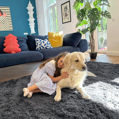 OLANLY Area Rugs for Living Room Bedroom, Machine Washable 4x5.9 ft Soft Fluffy Shaggy Bedside Rug, Indoor Floor Carpet for Kids Girls and