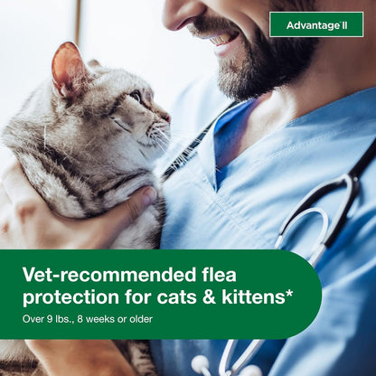 Advantage II Large Cat Vet-Recommended Flea Treatment & Prevention, Cats Over 9 lbs., 2-Month Supply