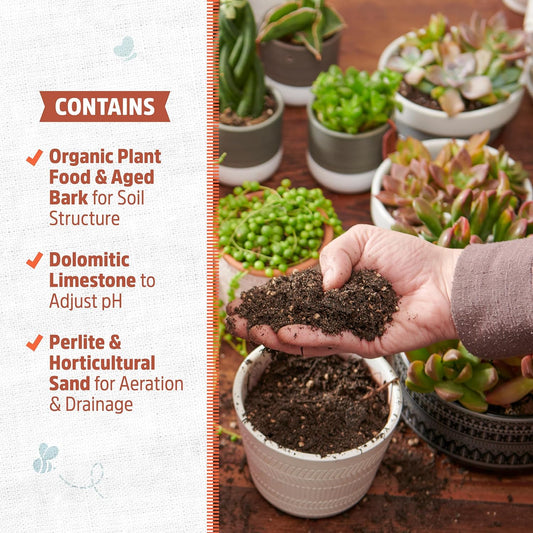 Back to the Roots 100% Organic Succulent & Cacti Mix (6 Quart), Made in the USA, Premium Nutrition for Indoor and Outdoor Plants