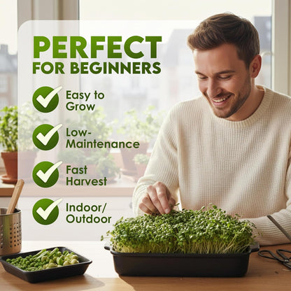 Nature Jims Sprouts Organic Salad Mix Non-GMO Microgreen Seeds, Perfect for Growing Nutritious Organic Broccoli