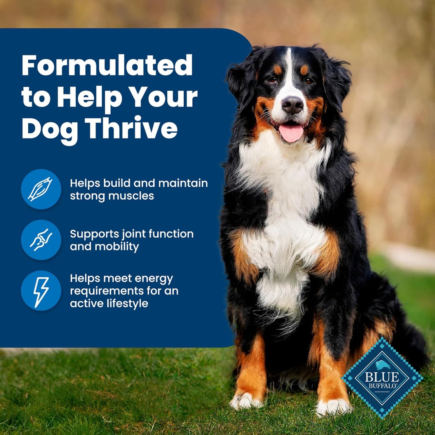 Blue Buffalo Life Protection Formula Adult Dry Dog Food, Helps Build and Maintain Strong Muscles, Made with Natural