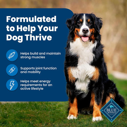 Blue Buffalo Life Protection Formula Adult Dry Dog Food, Helps Build and Maintain Strong Muscles, Made with Natural