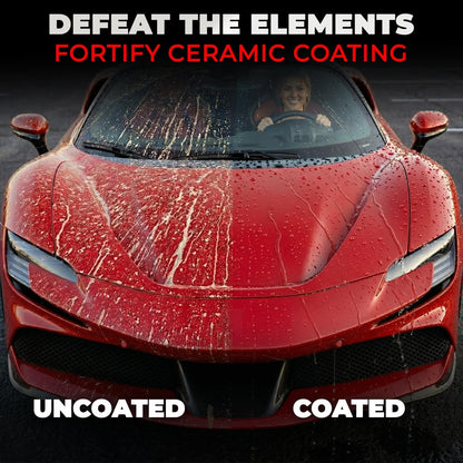 Car Wax Spray and Ceramic Coating for Cars - 3 in 1 Waterless Car Wash and Detailing - Quick Effect Coating Agent for Car - High Gloss Top
