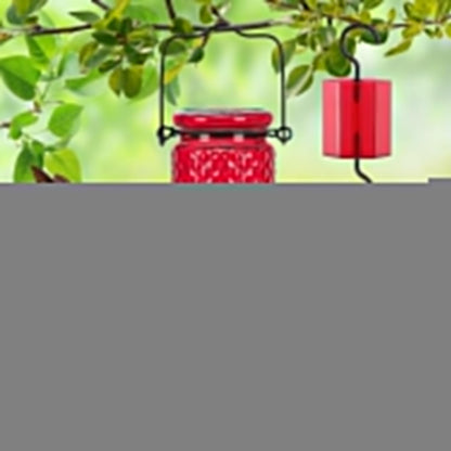 FEED GARDEN Glass Hummingbird Feeder, 16oz Outdoor Hanging Bird Feeder with Ant Moat, 4 Bee-Proof Feeding Ports, 360 Perch, Leak-Proof, Red