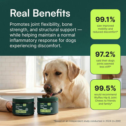Wuffes Advanced Dog Hip and Joint Supplement with Glucosamine, Chondroitin, Omega 3, MSM, and Green Lipped