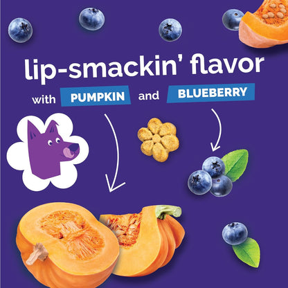 Fruitables Baked Dog Treats, Healthy Pumpkin Treat for Dogs, Low Calorie & Delicious, No Wheat, Corn or Soy, Made in the