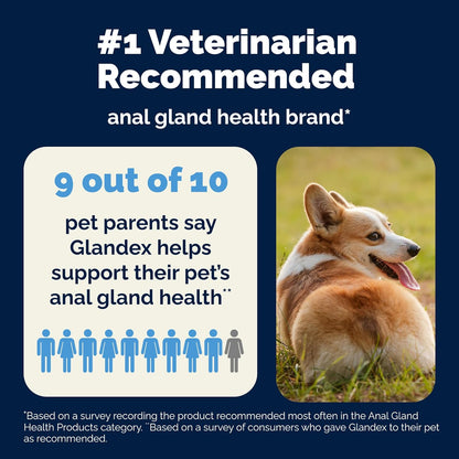Vetnique Glandex Anal Gland Soft Chew Treats with Pumpkin for Dogs Digestive