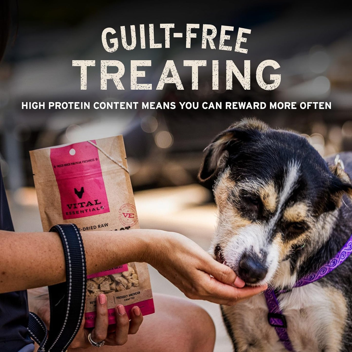 Vital Essentials Freeze Dried Dog Treats, Beef Liver, Single Ingredient, Premium Quality, Grain Free Training Treats for Dogs, 2.1 oz Bag