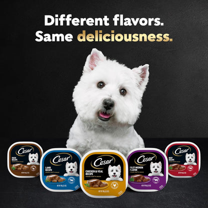 Cesar Wet Dog Food Classic Loaf in Sauce Grilled Chicken, Filet Mignon, Porterhouse Steak