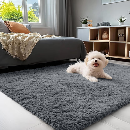 OLANLY Area Rugs for Living Room Bedroom, Machine Washable 4x5.9 ft Soft Fluffy Shaggy Bedside Rug, Indoor Floor Carpet for Kids Girls and