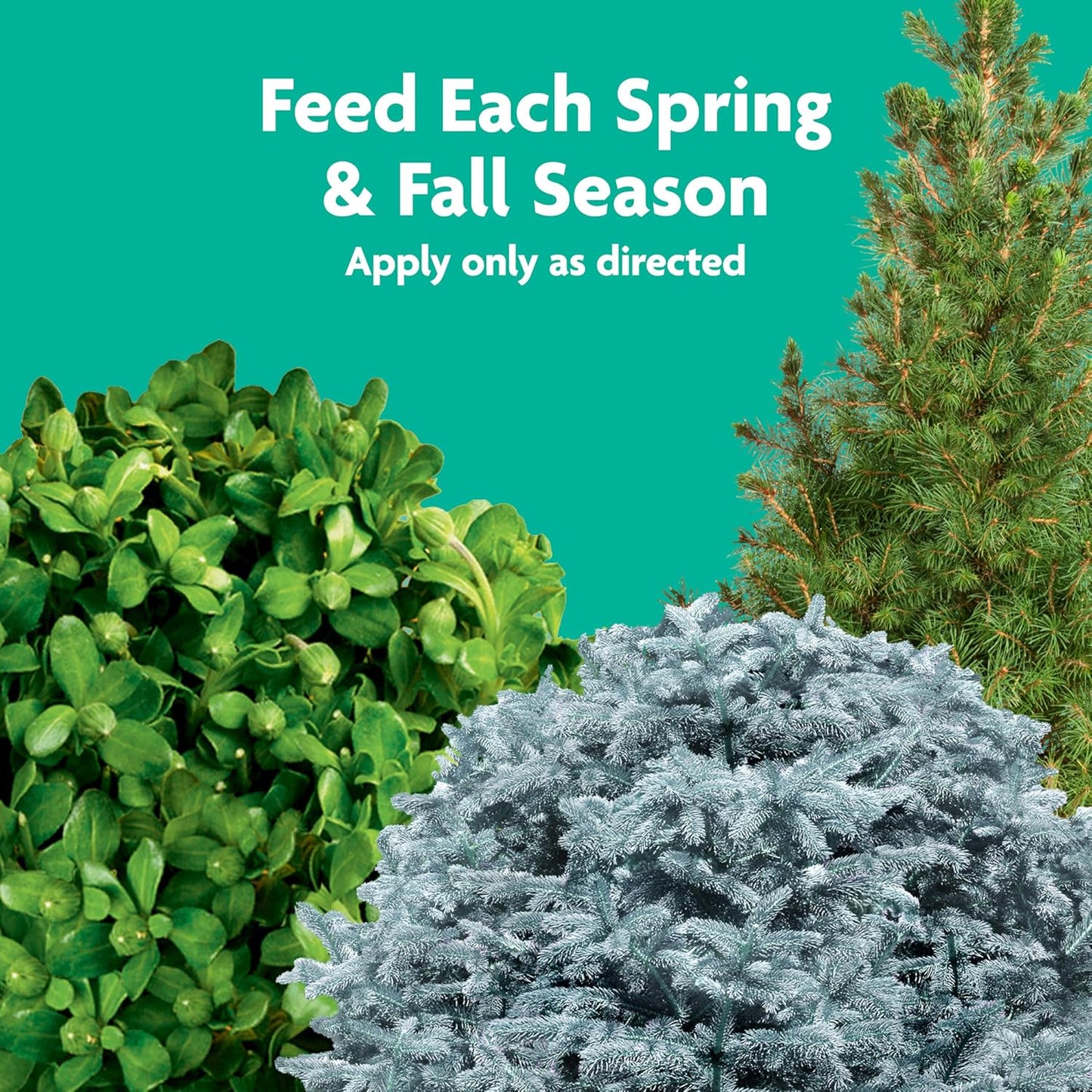Miracle-Gro Tree and Shrub Plant Food Spikes - Deciduous, Flowering & Evergreen Tree Fertilizer Spikes, Hydrangeas, and Acid-Loving Plants, 12
