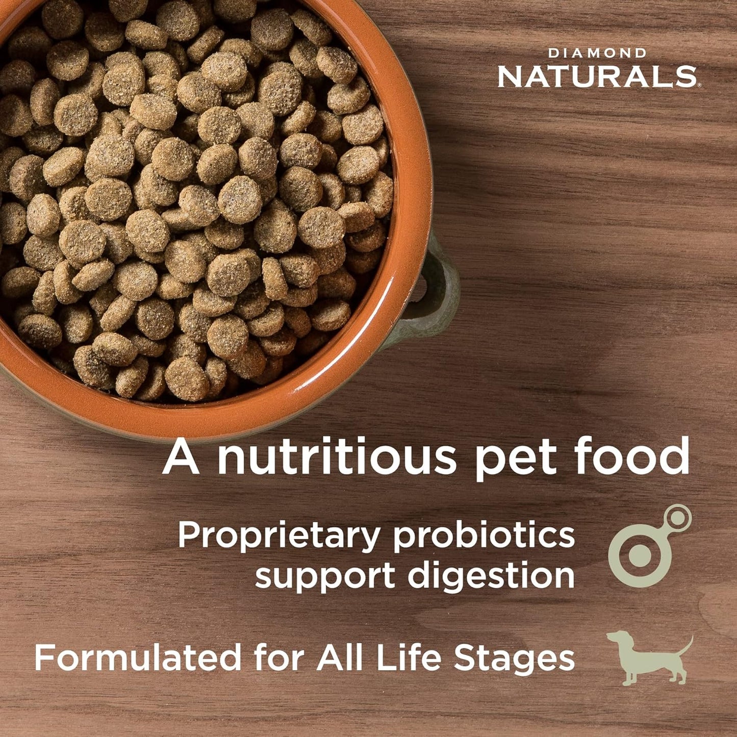 Diamond Naturals Skin & Coat Real Salmon and Potato Recipe Dry Dog Food with Quality Protein, Omega Fatty