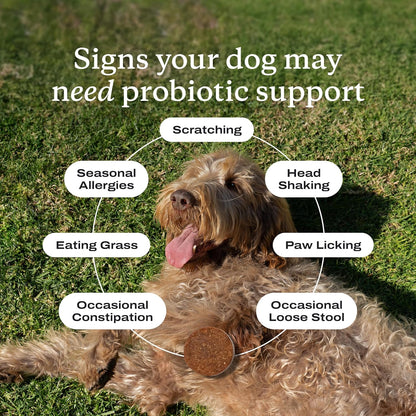 PetLab Co. Probiotics for Dogs, Support Gut Health, Occasional