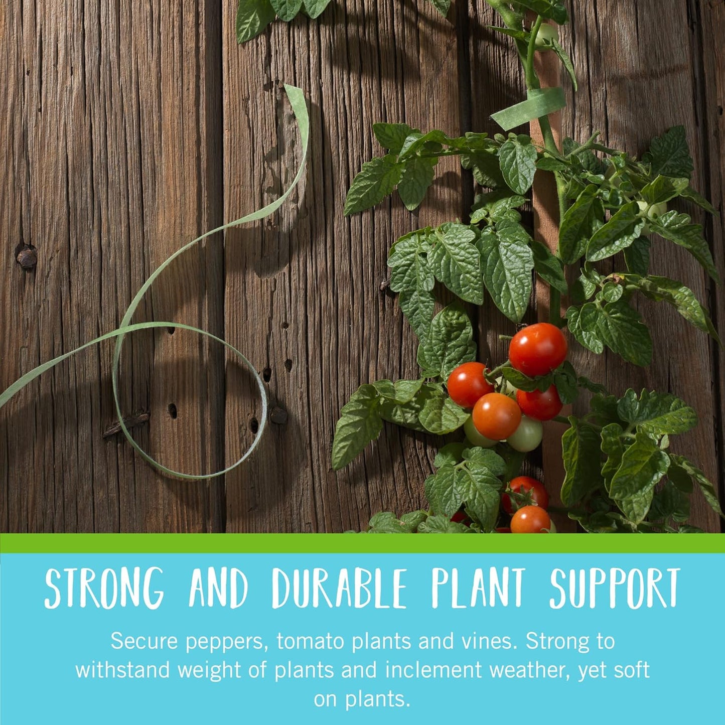 VELCRO Brand VEL-30071-USA ONE-WRAP Garden Ties, Plant Supports for Effective Growing, Strong Grips are Reusable and Adjustable