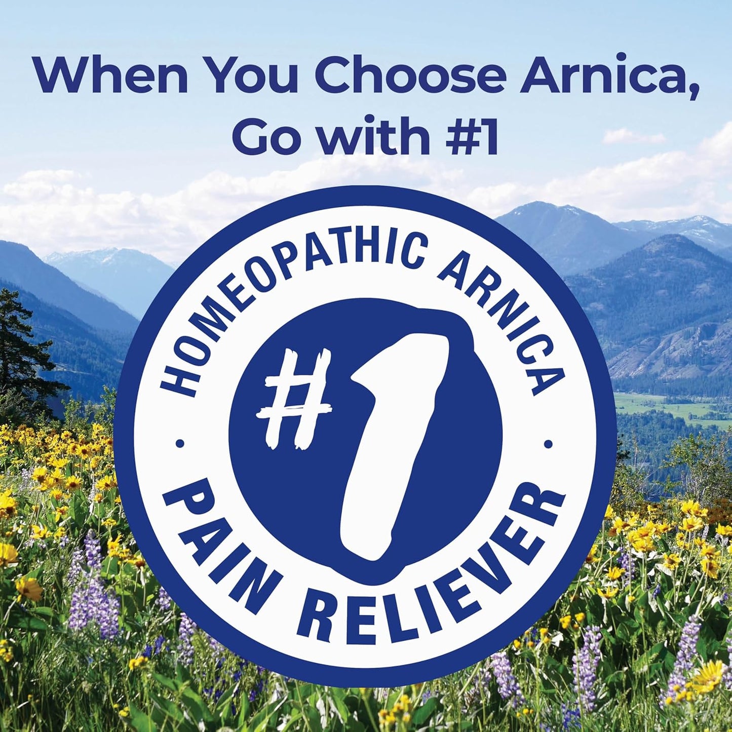 Boiron Arnica Montana 30C Homeopathic Medicine for Relief from Muscle Pain, Muscle Stiffness, Swelling from