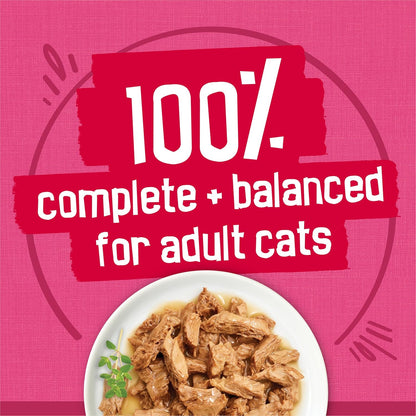Purina Friskies Gravy Wet Cat Food Variety Pack, Surfin and Turfin Prime Filets Favorites - (Pack of 40) 5.5 oz. Cans