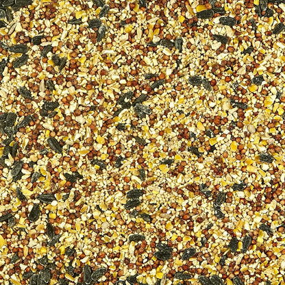 Kaytee All American Wild Bird Food Seed Blend for Cardinals, Blue Jays, Finches & Other Outdoor Wild Birds, 5 Pounds