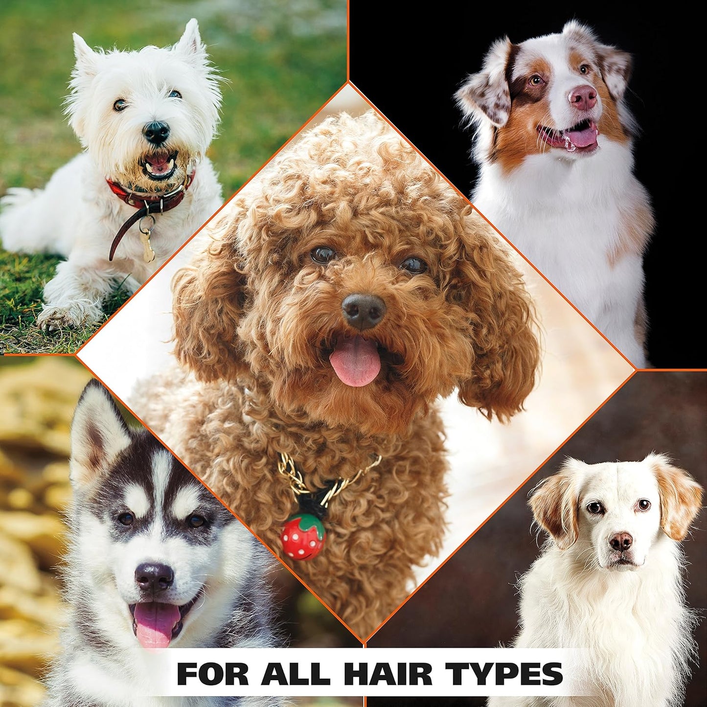 Wahl USA Dry Skin & Itch Relief Pet Shampoo for Dogs Oatmeal Formula with Coconut Lime Verbena Scent & Pet Friendly Formula, 24 Oz - Model 820004A